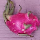 Satyam Juice and Fast Food Center