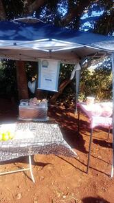 Caseirinhos da Fazenda