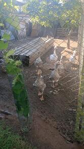 Agriturismo I Quattro Laghi