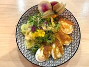 Le Diablothym signes