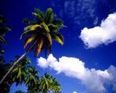 Hotel Aditya & Ruchi Restaurant