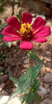 गढ़ कलेवा