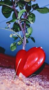 Collage Mode Sihodih , Genius Lodge