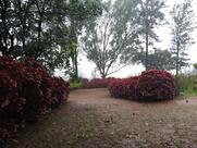 Ion Exchange Guest house