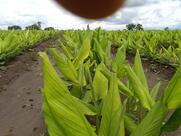 hotel इंद्रायणी