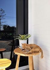 CountDown Cafe & Flower Farm