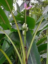 Recanto das Cachoeiras