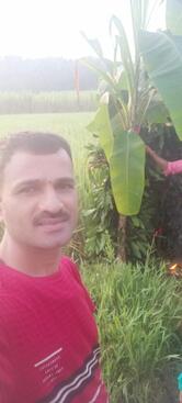 Malnadsiri Food Court