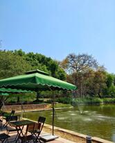 Fab Cafe by the Lake