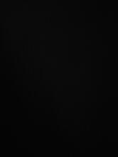 Hotel Barot Inn & Family Restaurant