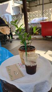 Sweet Home coffee -A little Corner