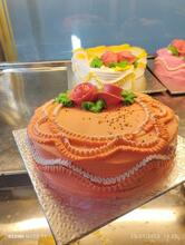 Modern Bakery - Best Bakery in Adilabad