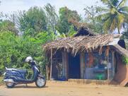 Thanal Boiler tea Shop