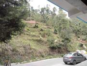 Ankur bar and restaurant