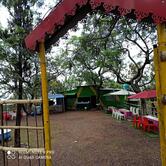 Green valley view Kasauli