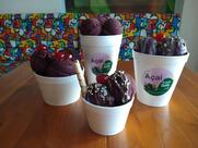 Sorveteria Frutos de Goias Natal Ponta Negra