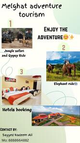 Golden Pan Centre melghat jungle safari