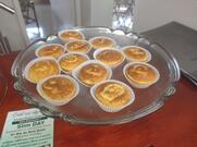 EVS Hilda’s Protéine