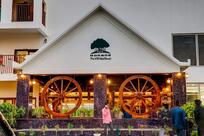 BORGOS The Wild Valley Dhansiri