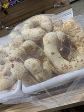 Panificadora Nossa Senhora do Líbano