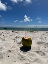 Restaurante e pizzaria litoral