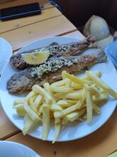 Bar "Tisa" in avtoprevozništvo Stanislav Robnik s.p.