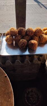 Amontron Rashik Bhojon