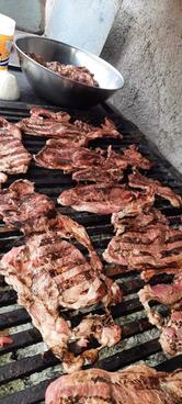 BURROS " CHITO"