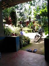 Epikkad Chicken Stall