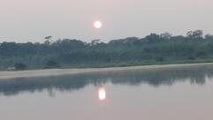 Panificadora Paganini