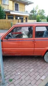 Mls S.A.S. Di Mancini Maria Luisa E C.