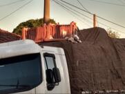 Amélia Soleni dos Santos - Bar