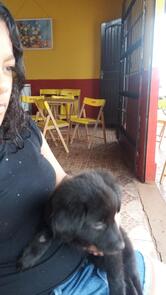 Bar e restaurante da marli