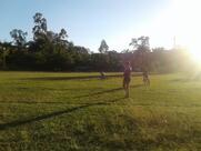 Brancher & Ribeiro Armazéns Gerais