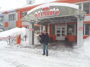 Фламинго