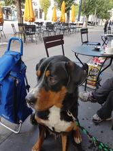 Zum Freihof Ristorante Pizzeria