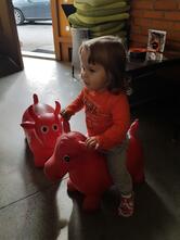 Dačo bife, točenje pijač, David Žunter s.p.