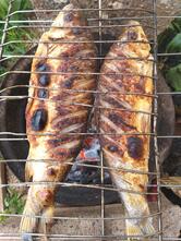 pizaria tio Luigi tessele