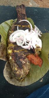 Mathsya Darshini - Fish stall