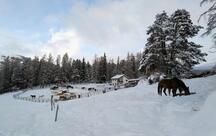 Reitstall, Restaurant, Saloon - San Jon