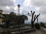 Sisters' Bar Di Gentili Laura & C. S.N.C.