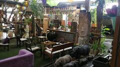 แรดไม้กาแฟ@บ้านถวายสองฝั่งคลอง