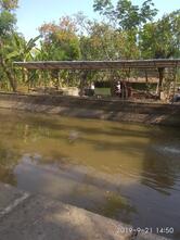 Kolam Pancing Berkah Tirta
