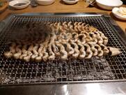 참나무집