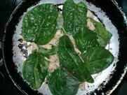 Pensão Maranata comida caseira