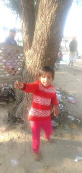 New Kushwah Hotel Gohad