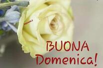 Friggitoria PITITTO di Enza