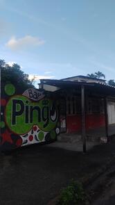 Bar Do Pingo Itaipava
