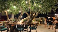 Restaurant & Bar Oliveo