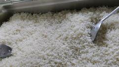 Yummy Restaurante Ltda